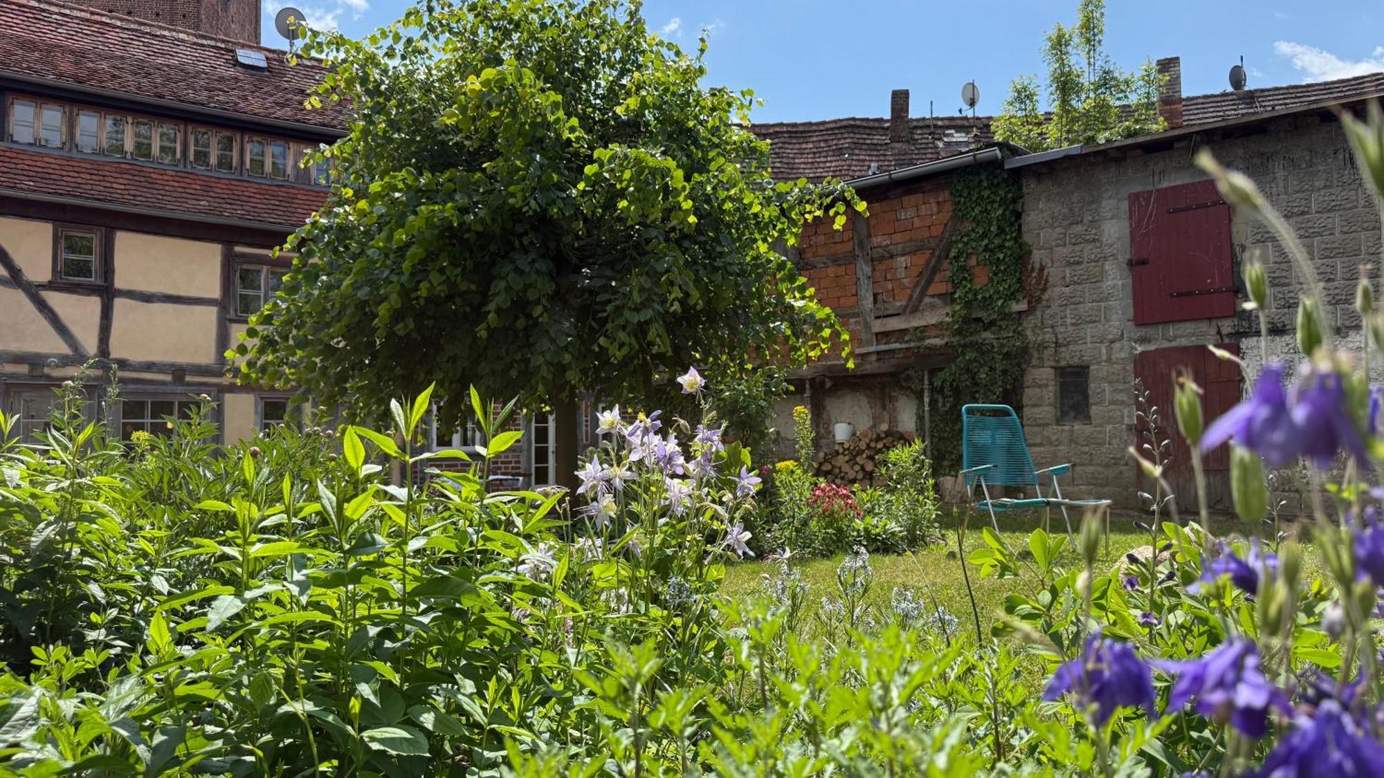 Ferienhaus St. Johannis Werben  Exterior photo
